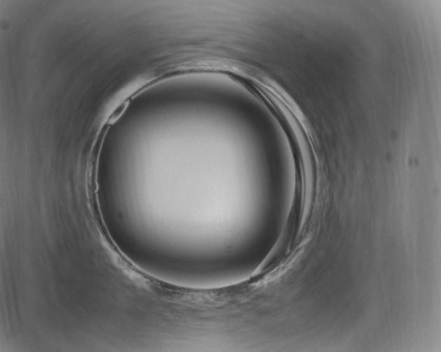 X0000085270909200703091349