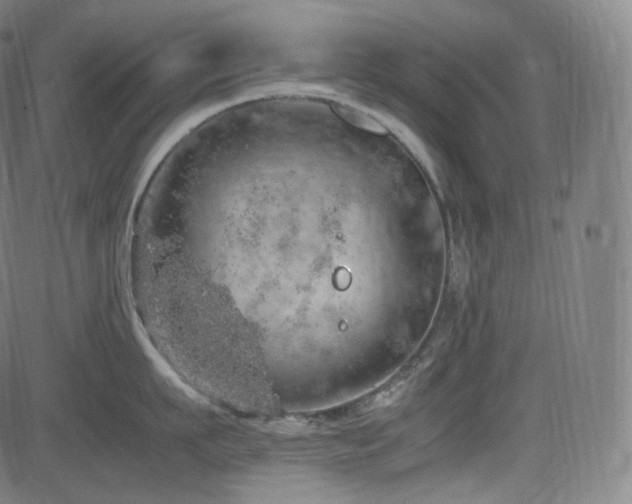 X0000085270911200703091349