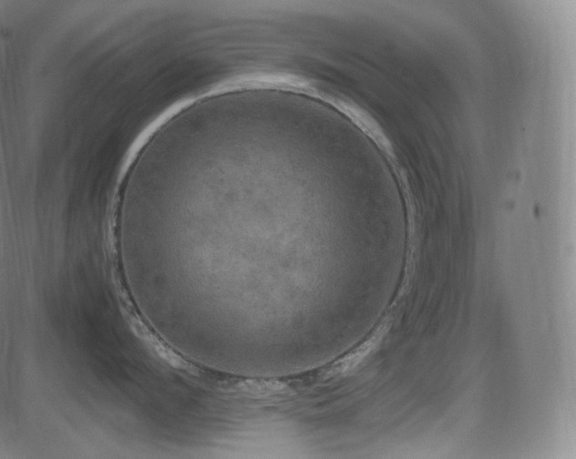 X0000085270912200703091349