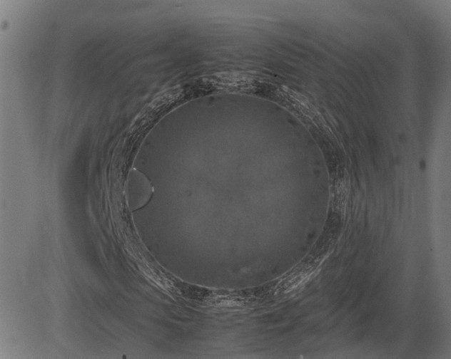 X0000085270913200703091348