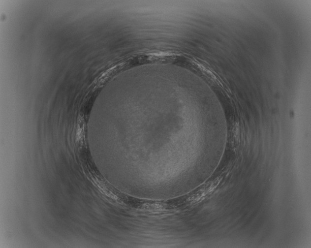 X0000085270914200703091348