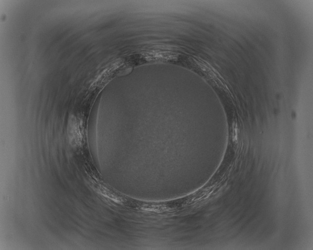 X0000085270915200703091348