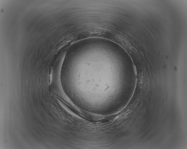 X0000085270916200703091348