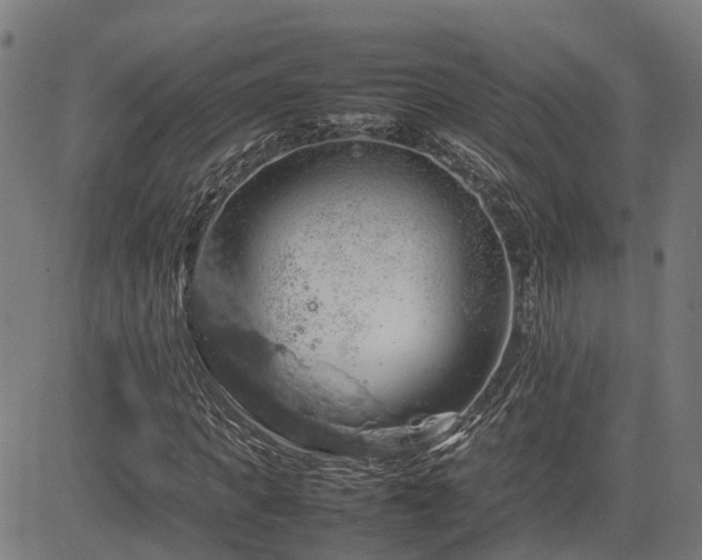 X0000085270917200703091348