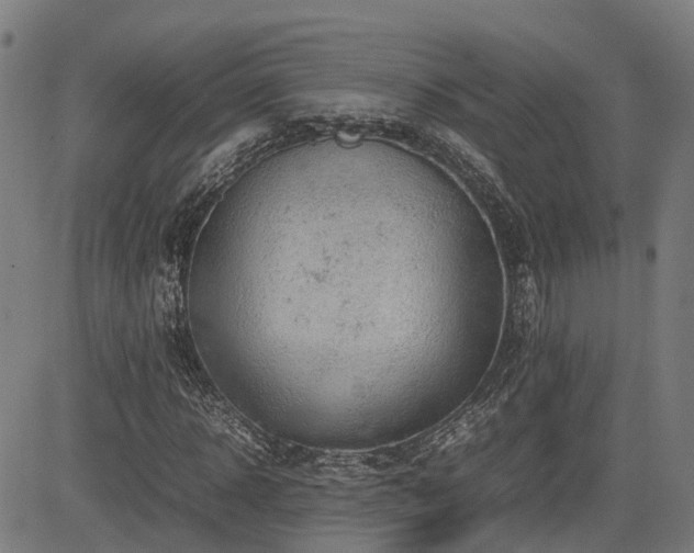 X0000085270918200703091348