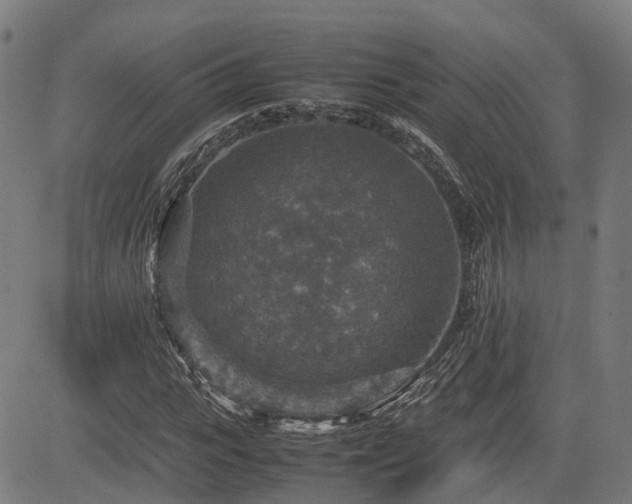 X0000085270919200703091348