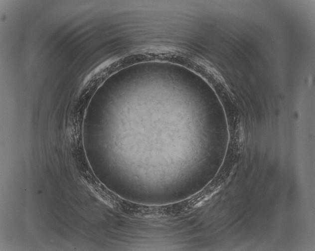 X0000085270920200703091348