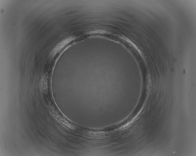 X0000085270921200703091348