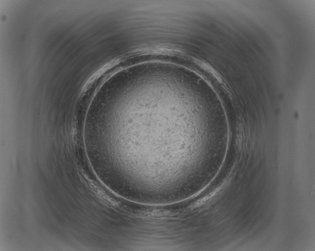 X0000085270922200703091348