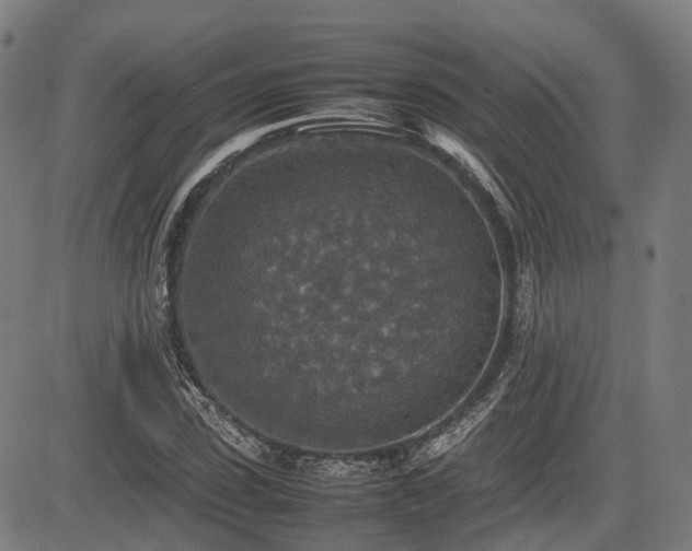 X0000085270923200703091348