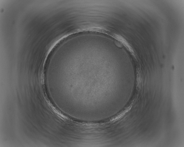 X0000085270924200703091348