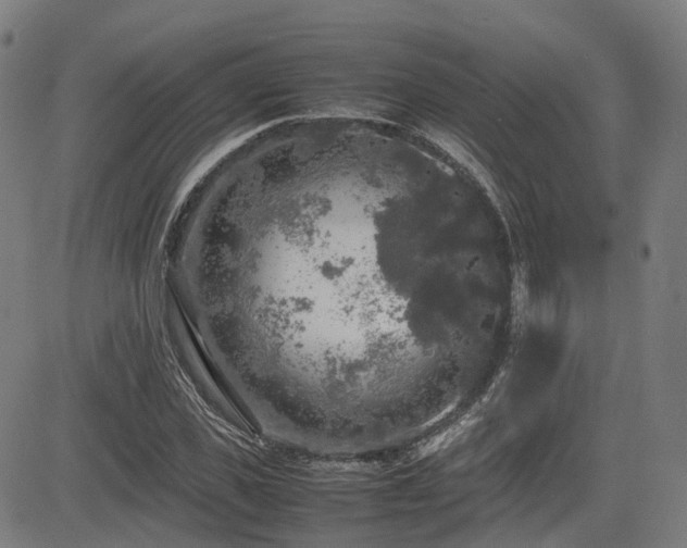 X0000085270925200703091348