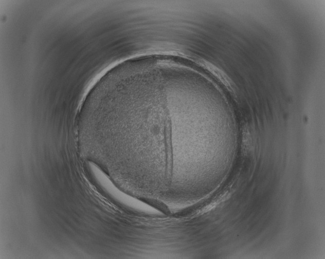 X0000085270926200703091348