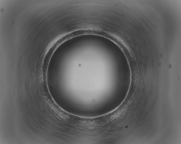 X0000085270927200703091348