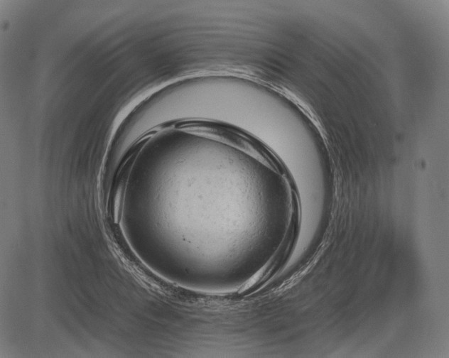 X0000085270928200703091348