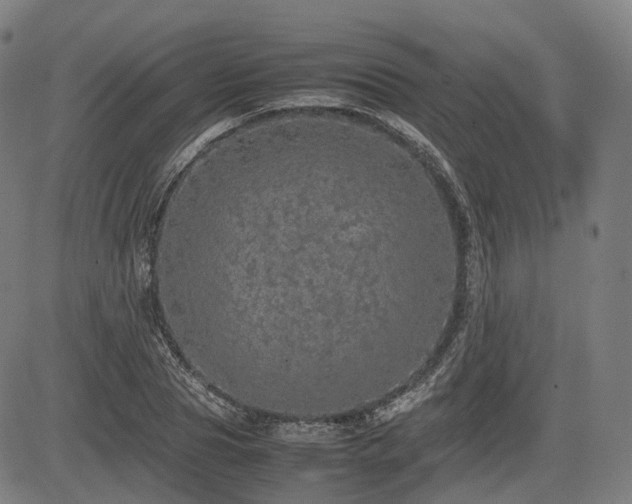 X0000085270929200703091348