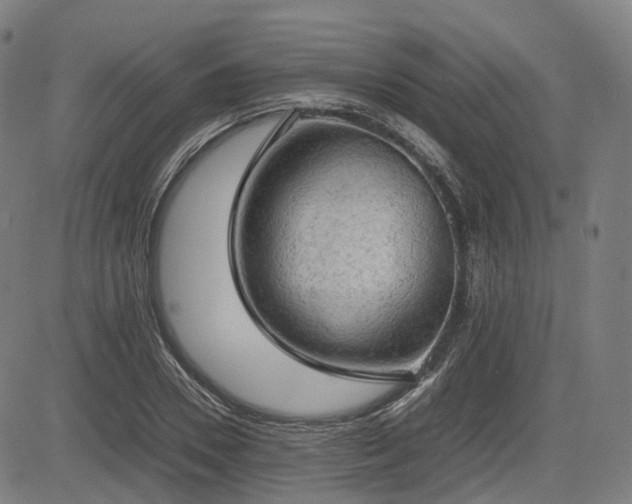 X0000085270930200703091348