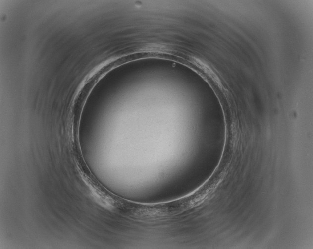 X0000085270931200703091348