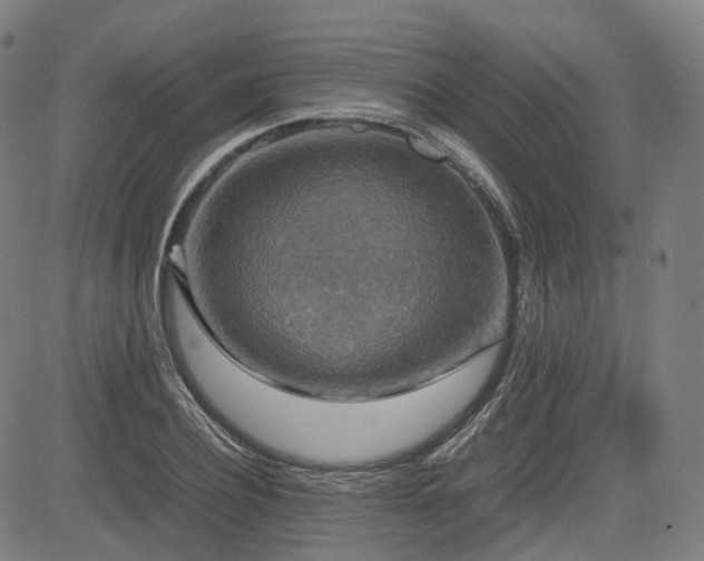 X0000085270932200703091348