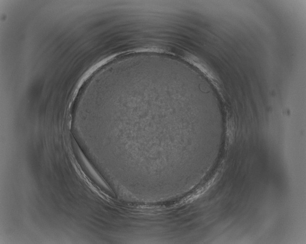 X0000085270933200703091348