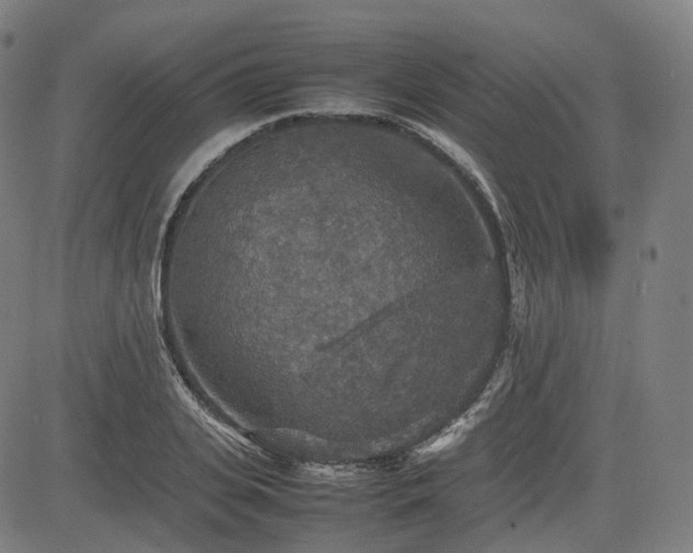 X0000085270935200703091348