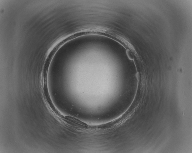 X0000085270936200703091348