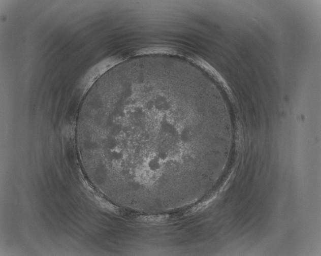 X0000085270937200703091348