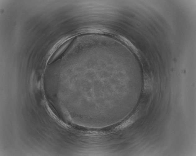 X0000085270938200703091348