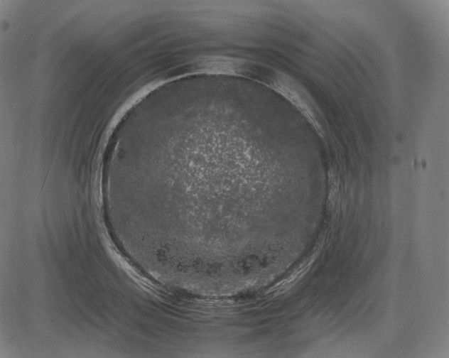 X0000085270939200703091348