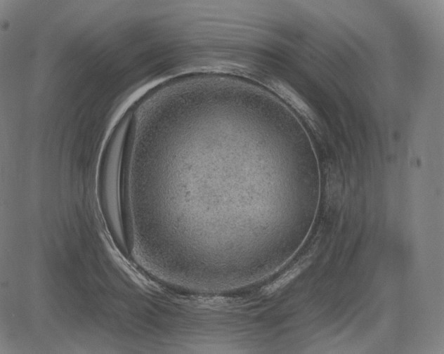 X0000085270940200703091348