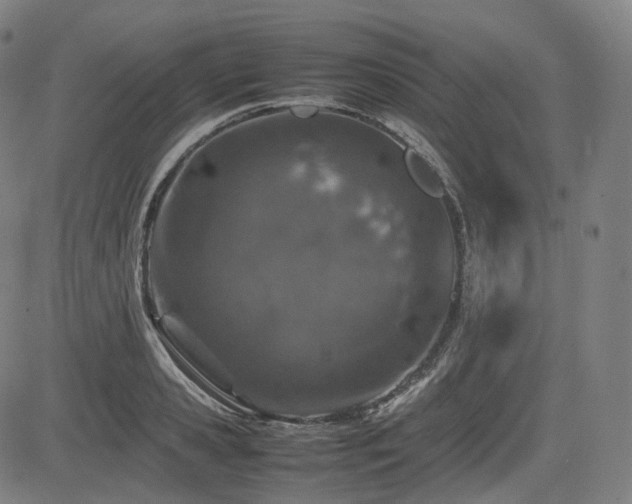 X0000085270941200703091348