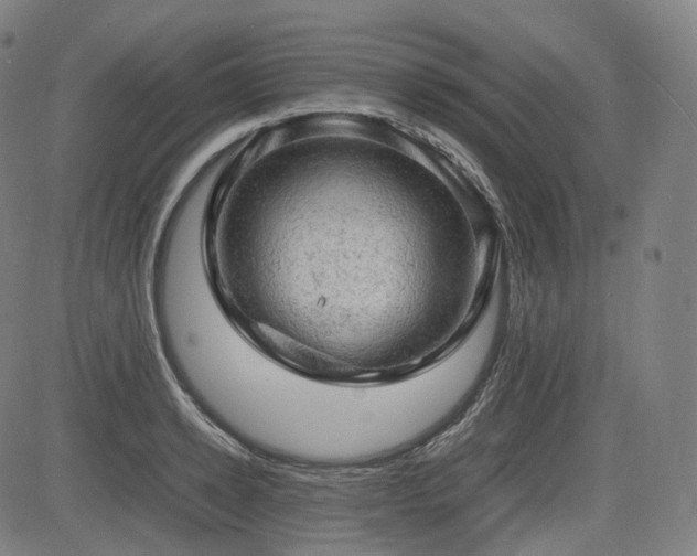 X0000085270942200703091348