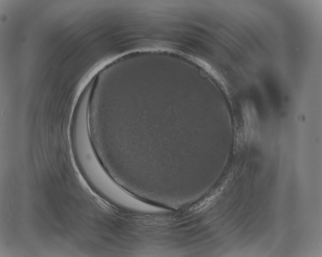 X0000085270943200703091348