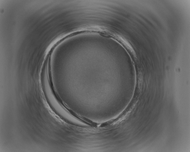 X0000085270944200703091348