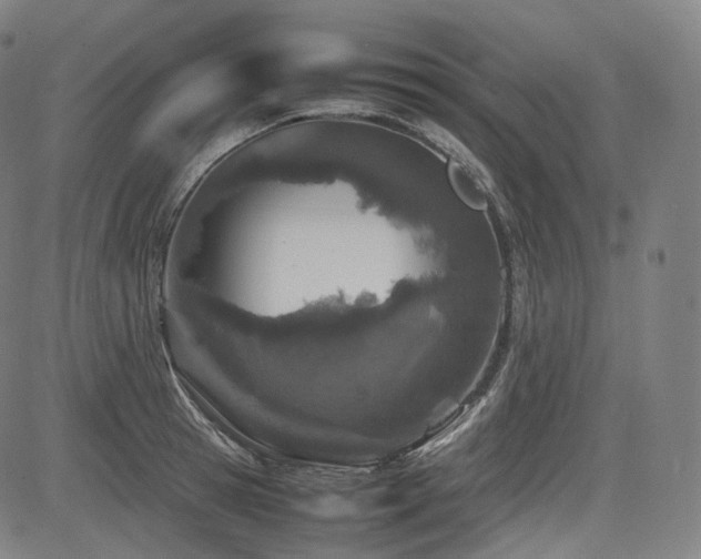 X0000085270945200703091348