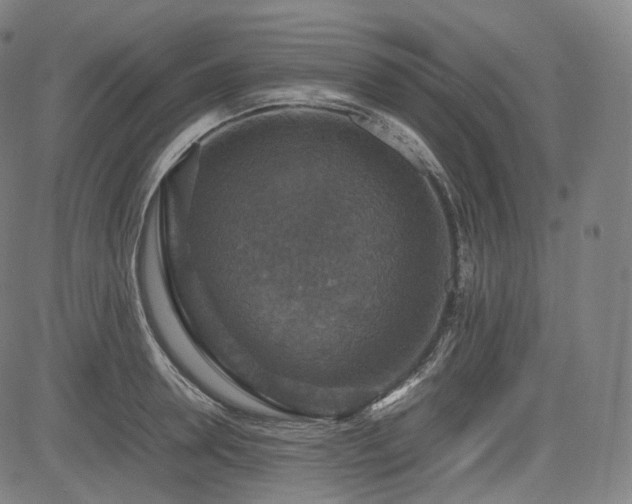 X0000085270946200703091348