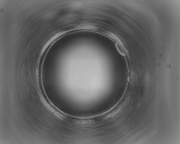 X0000085270947200703091348