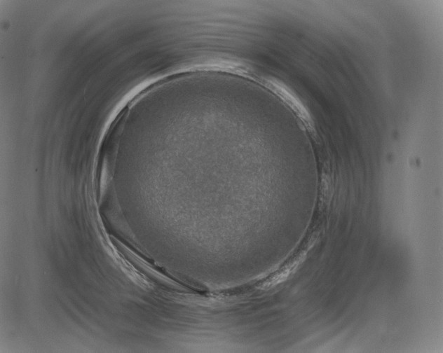 X0000085270948200703091348