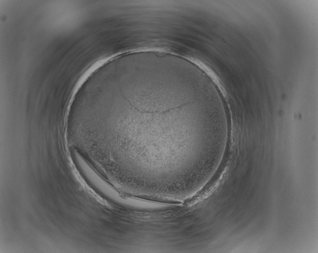 X0000085270949200703091348