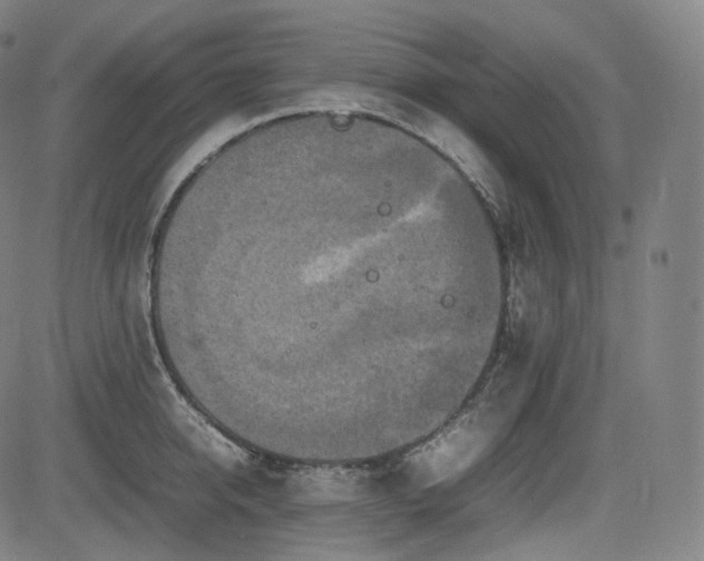 X0000085270950200703091348