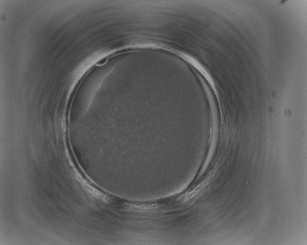 X0000085270951200703091348