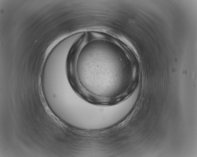 X0000085270952200703091348