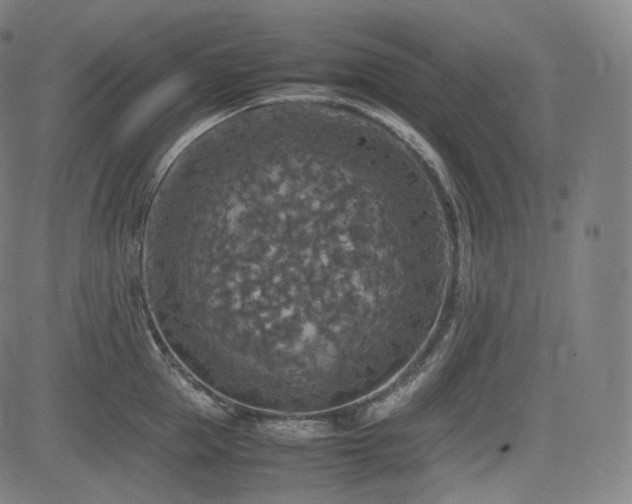 X0000085270953200703091348