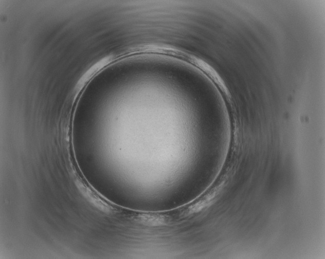 X0000085270954200703091348