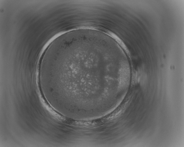 X0000085270955200703091348