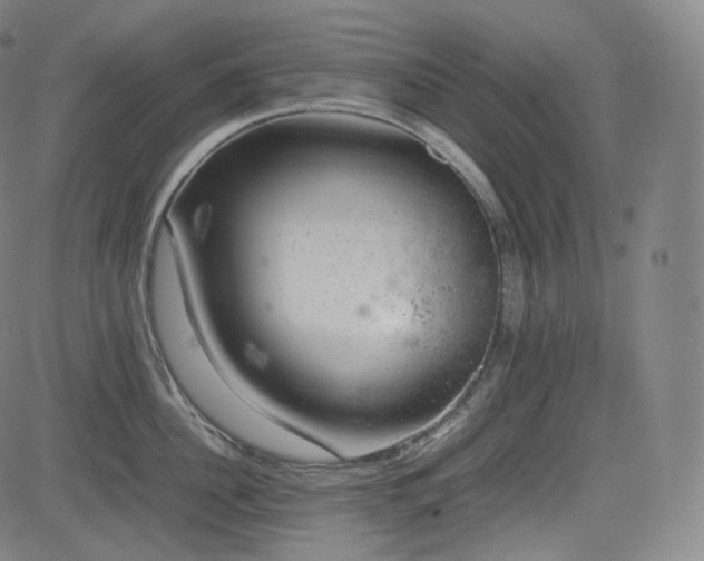 X0000085270956200703091348