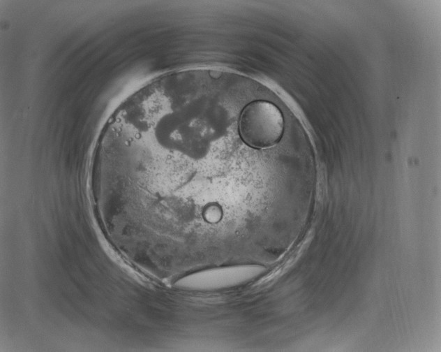 X0000085270957200703091348