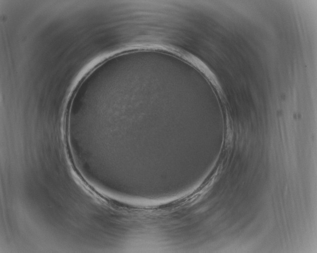 X0000085270958200703091348