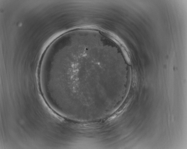 X0000085270959200703091348