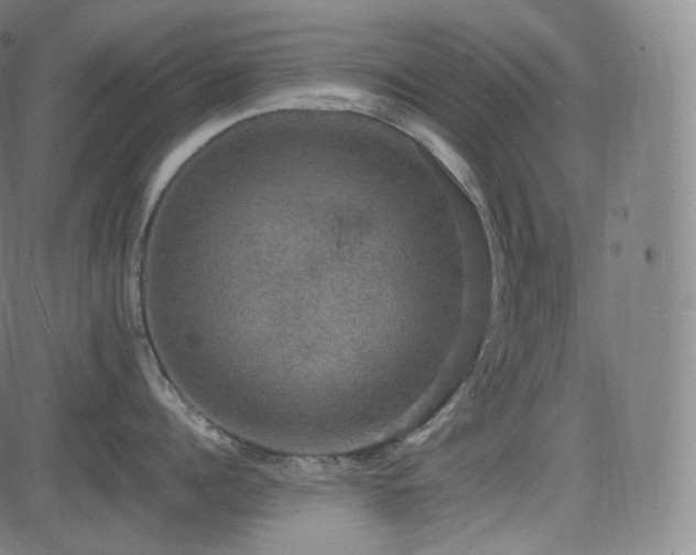 X0000085270960200703091348